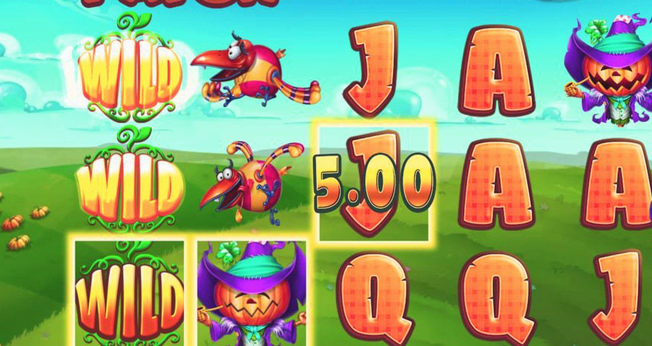 Pumpkin Patch · Tangkapan Layar Aplikasi FOKUS777